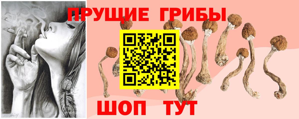 Апшеронск  Галлюциногенные грибы Magic Shrooms  Вход с VPN 